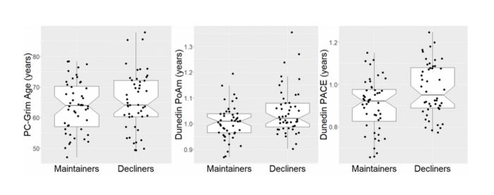 基于DNA甲基化的16年生物衰老和認知衰退的測量